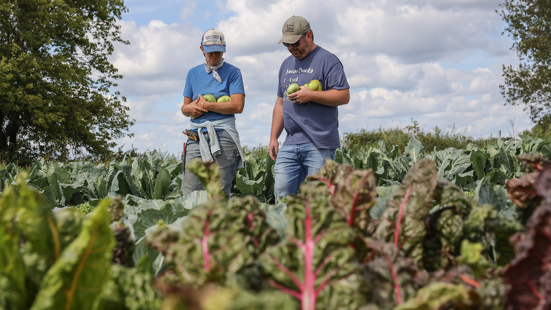 Laura Mortimore and Dustin Ladd hold multiple tomatoes in their arms while standing in between multiple fields of vegetables, with trees and a partially cloudy sky in the background.