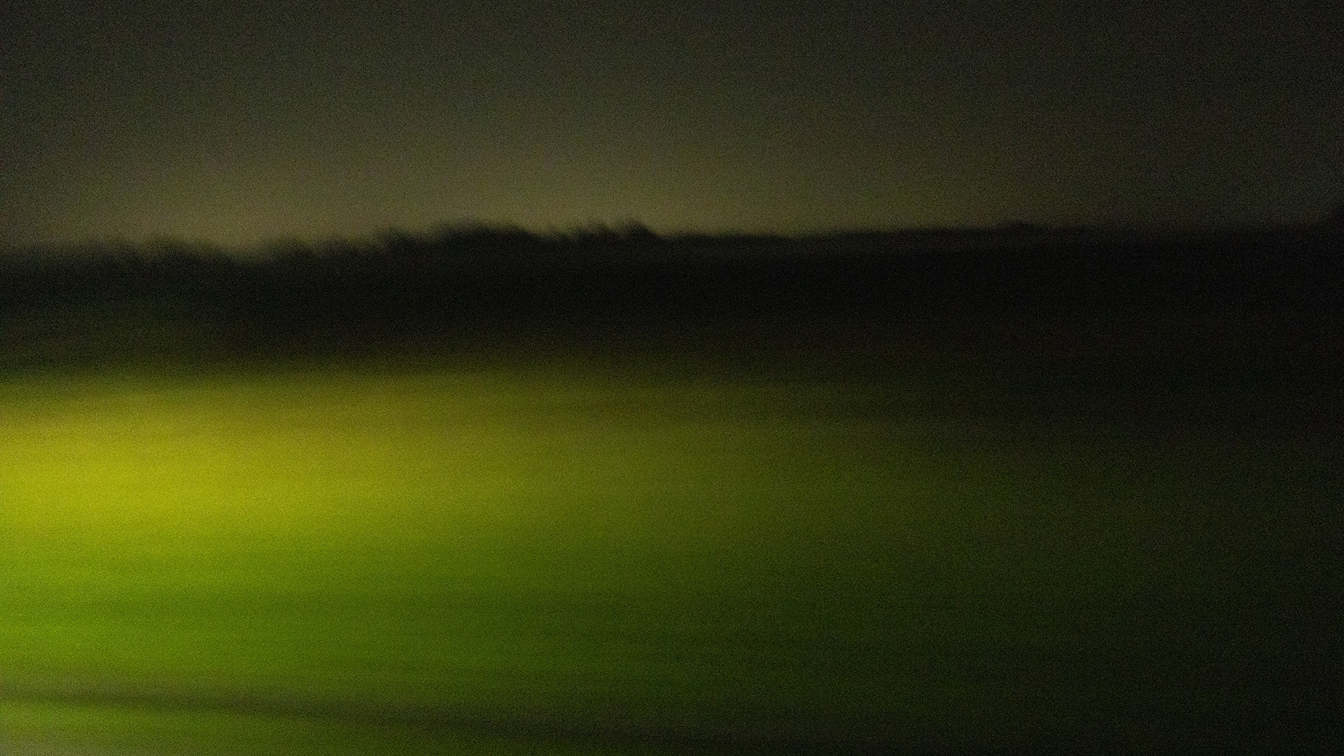 Vehicle headlights illuminate a field and horizon line of trees at night in a blurry photo.