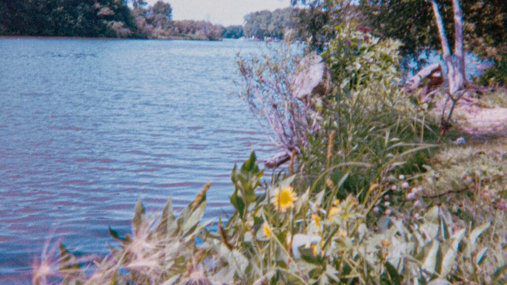 Glimpses of the natural world: Lorine Niedecker as photographer