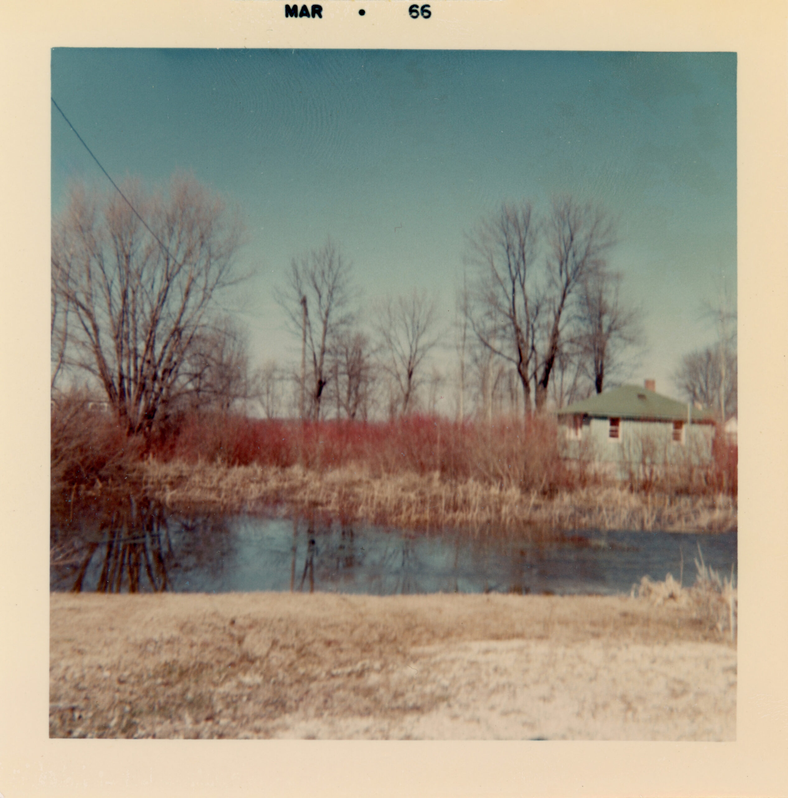 Small light-green house beside a pond bordered by leafless trees and red brush under a clear blue sky. “MAR 66” printed at top edge of photo.