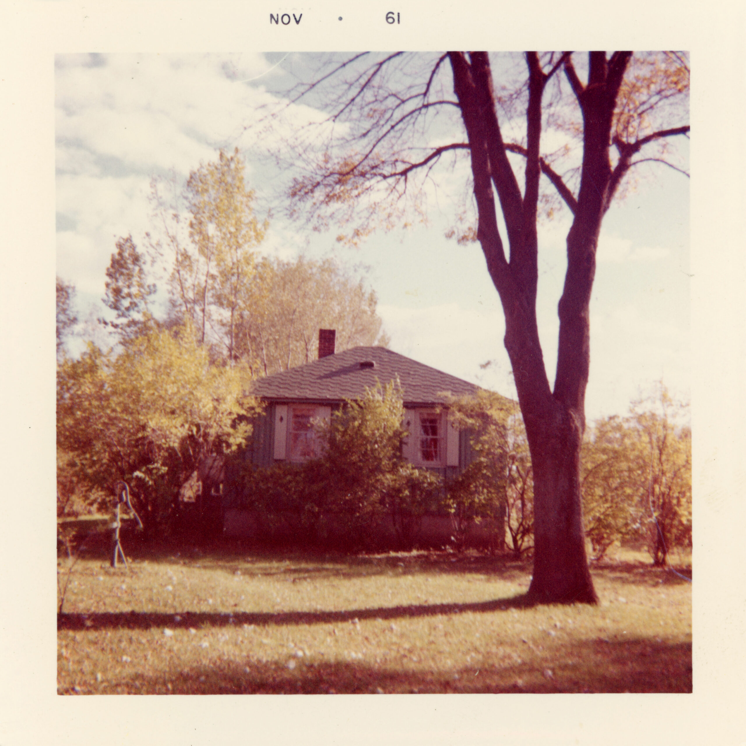 A view of a one-story green house with white shutters and a shingled roof, seen from the yard. Bushes line the front, trees stand beside the house, and a tall tree to the right shows autumn foliage.