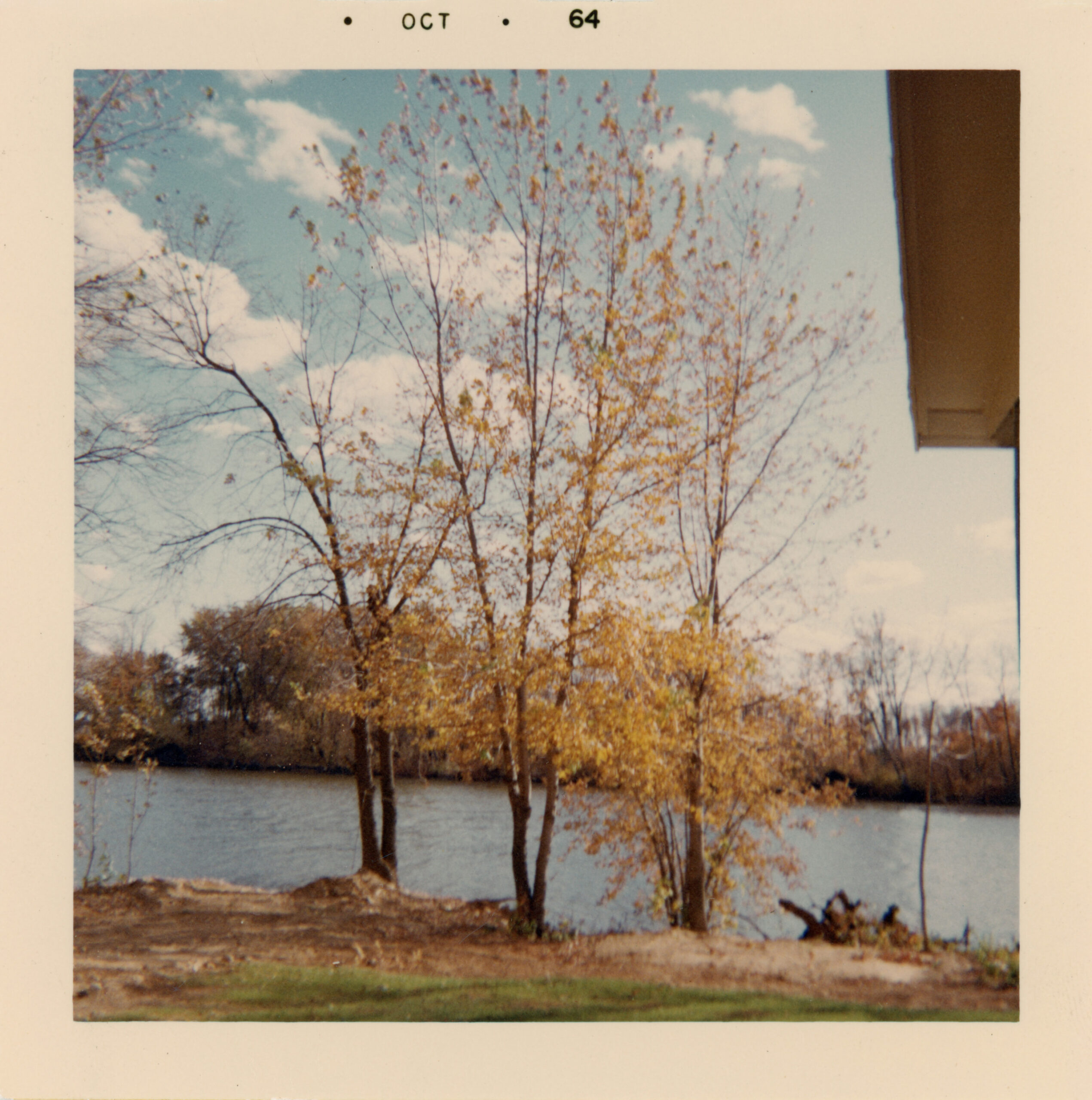 View of several trees with yellow autumn leaves along the edge of a calm river under a blue sky with scattered clouds. The corner of a house roof appears at the right edge of the image. The photo border is dated October 1964.