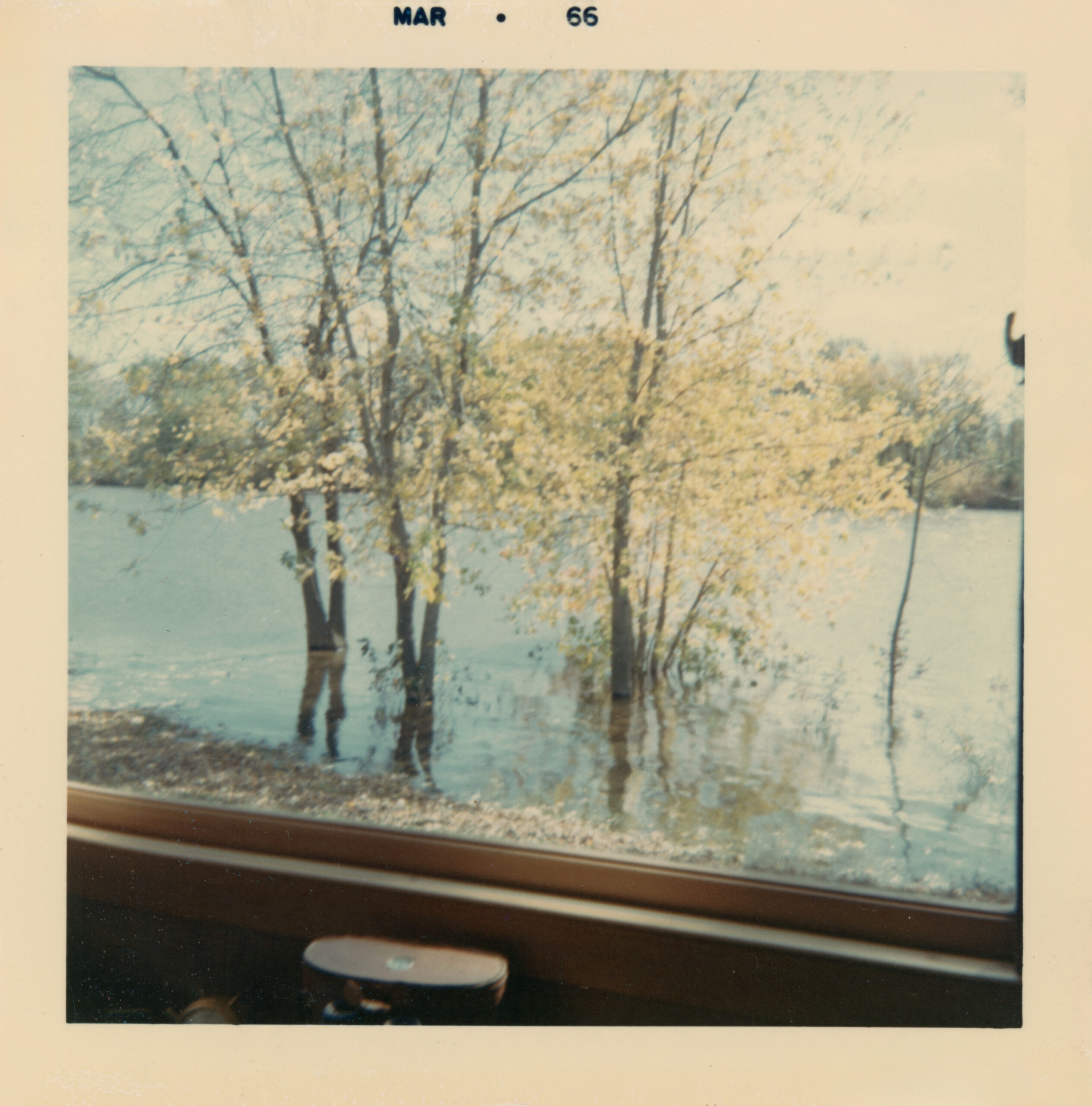 View through a window of trees standing in shallow water along a riverbank. The scene is softly lit, with pale autumn leaves and reflections on the water. The photo border reads ‘Mar 66.’