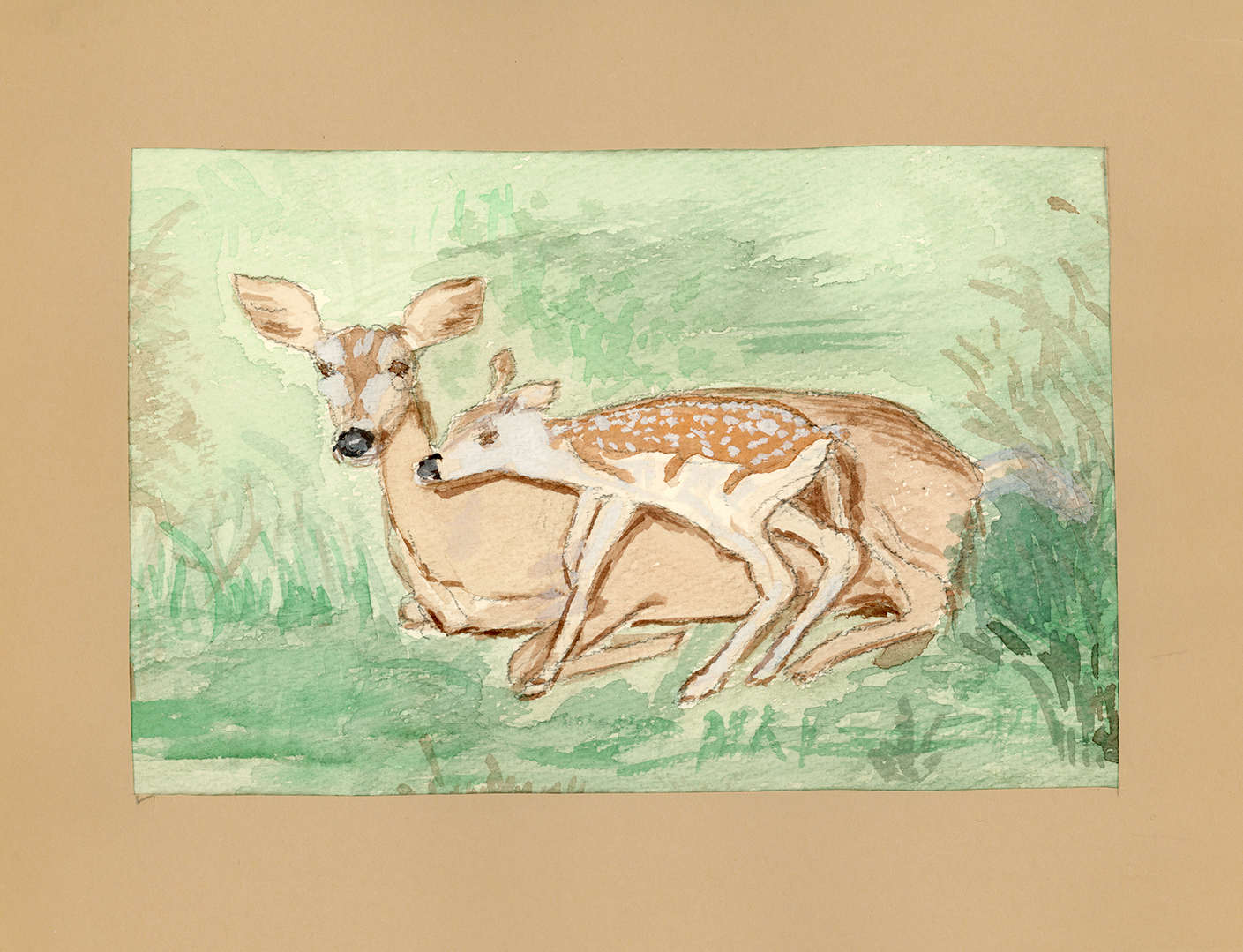 A watercolor of a doe and her fawn resting in green grass. The doe faces forward while the speckled fawn looks into the distance, painted in soft brown and green washes.