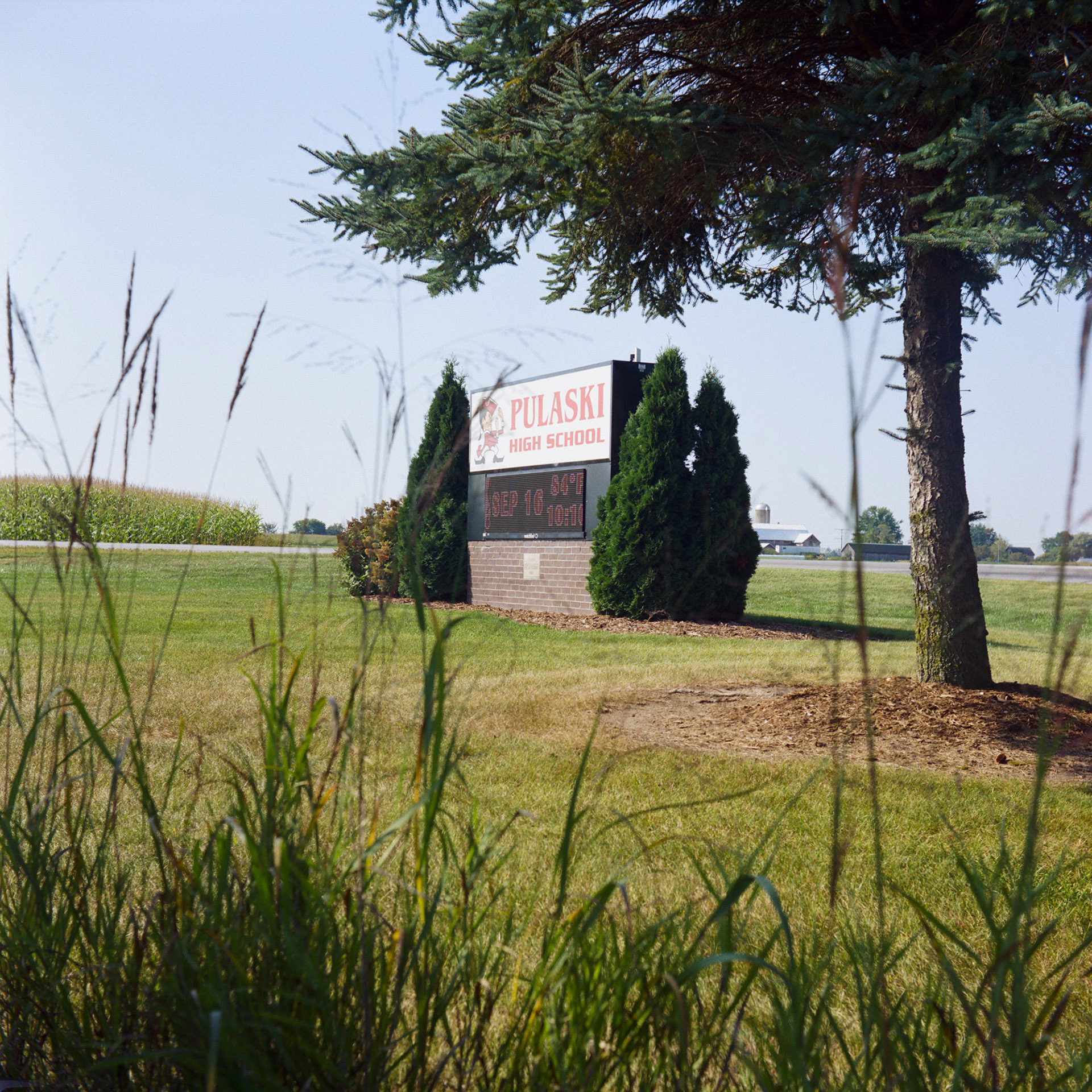 A sign with the words "Pulsaski High School" and an illustration of its "Red Raider" mascot and a digital sign showing the date, time and temperature of 84 degrees stand on top of a brick base among multiple cedar trees in a lawn next an evergreen tree, out-of-focus tall wheat in the foreground and a road, corn fields and farm buildings in the background.