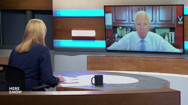 Frederica Freyberg sits at a desk on the Here & Now set and faces a video monitor showing an image of Ron Johnson.