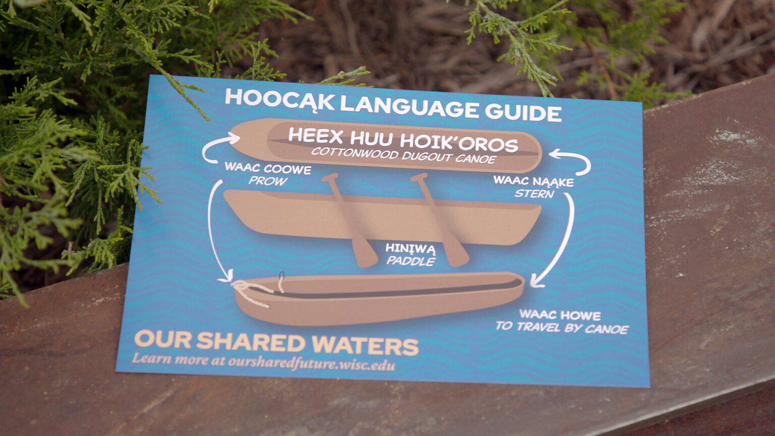 A sign titled Hoocąk Language Duide with multiple illustrations of a canoe labeled with Ho-Chunk words and American English translations is displayed on the surface of a wood railing next to branches of a cedar tree.