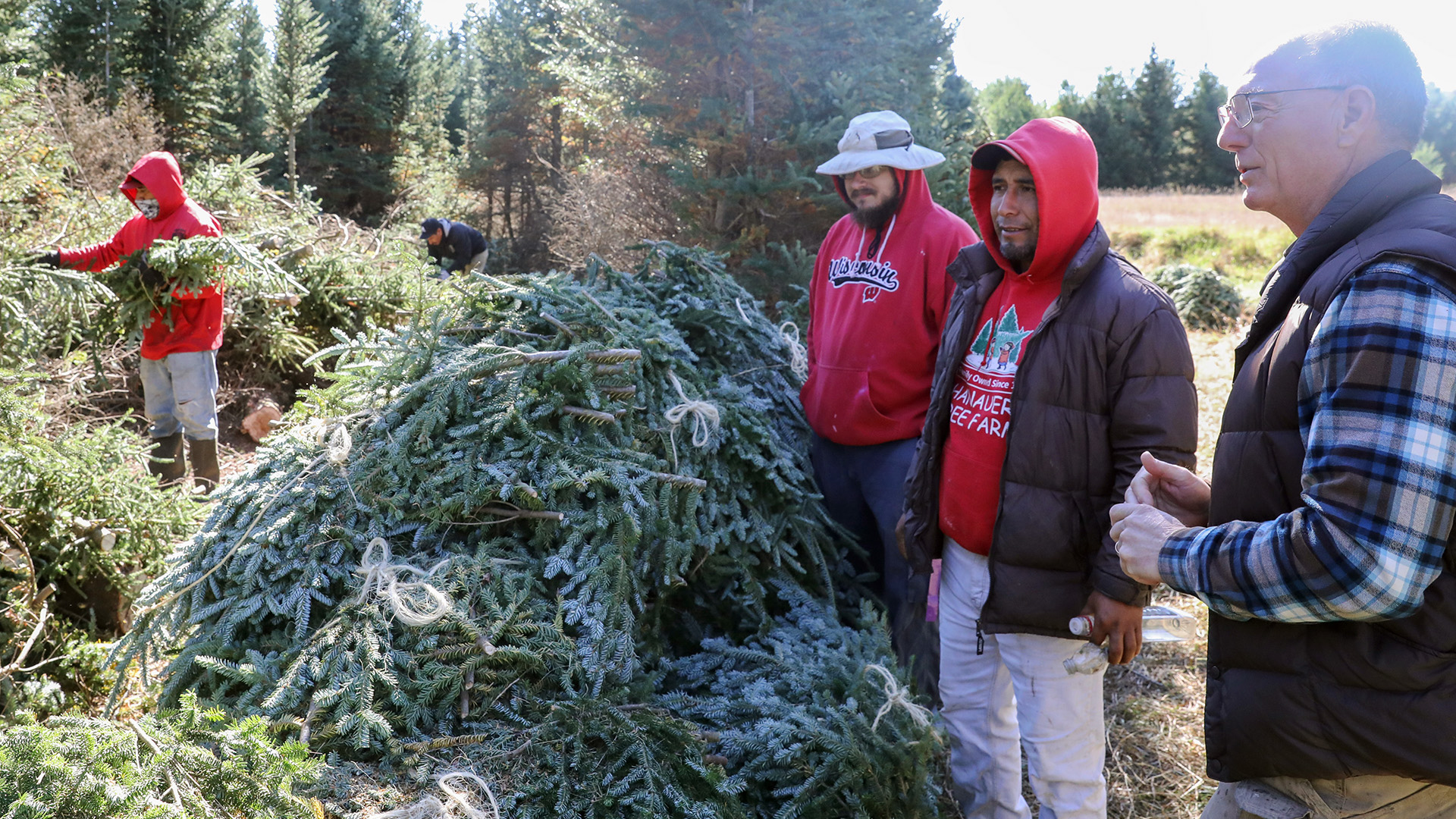 Dan Hanauer stands next to two other men behind a pile of cut tree boughs, with two other workers in the background collecting more boughs in front of a line of trees.