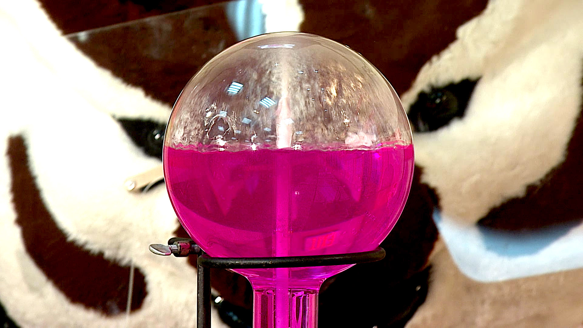 Chemistry class with Bucky