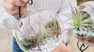 Two women hold up air plant terrariums.