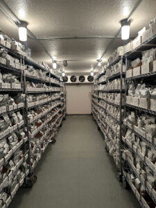 Many shelves of envelopes of seeds in an industrial freezer.