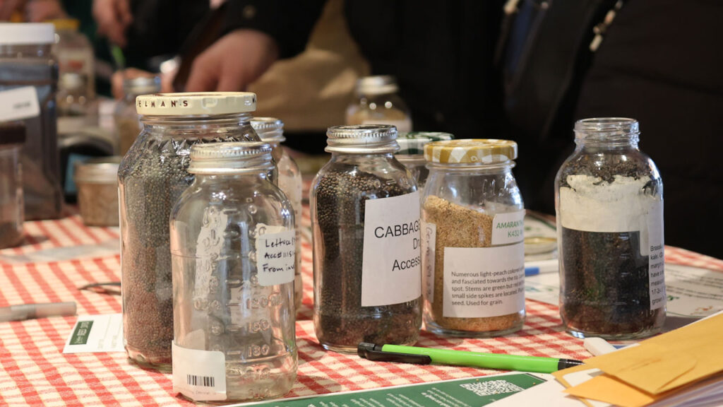 Recycled food jars filled with seeds on a red and white gingham tablecoth.