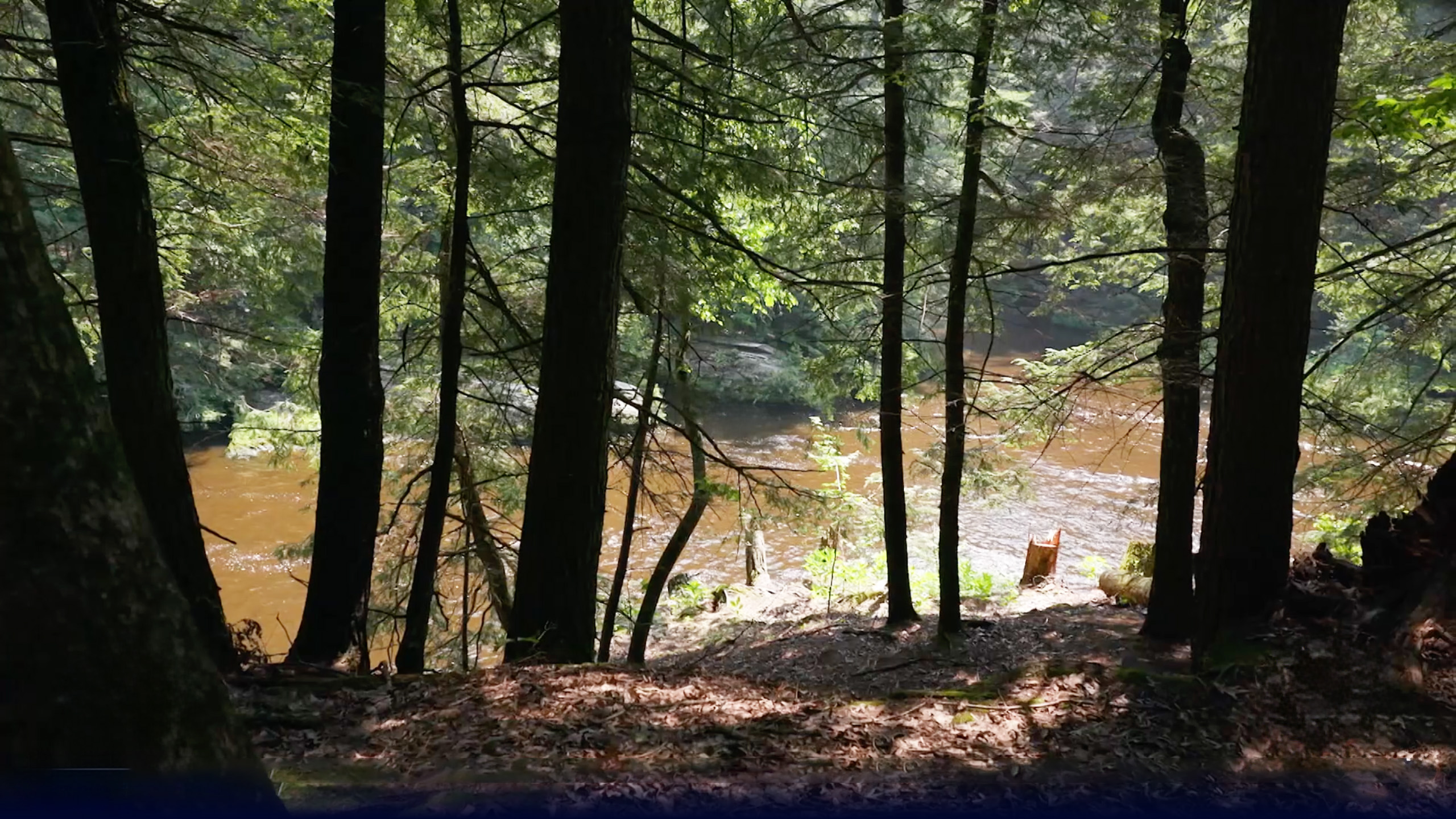 From outdoor classrooms to Bigfoot country