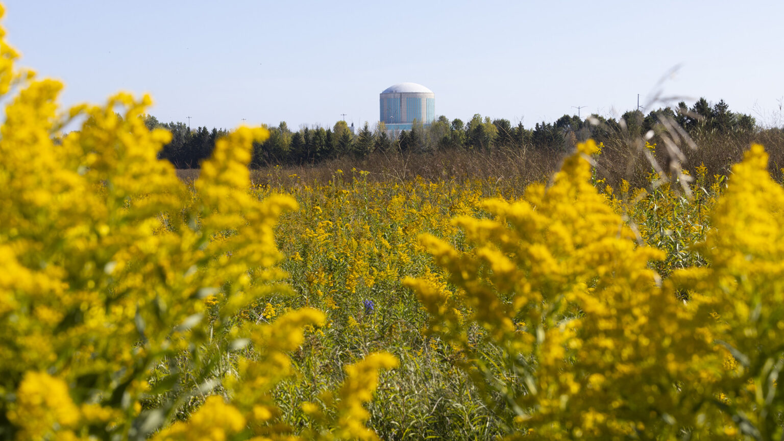 The Kewaunee Power Station stands decommissioned along Lake Michigan on Sept. 16, 2025, in Kewaunee. Cloverleaf Infrastructure approached property owners and town of Carlton officials to gauge their support for a data center near the former nuclear energy facility. The company is no longer pursuing the project, officials told Wisconsin Watch in January 2026. (Credit: Joe Timmerman / Wisconsin Watch) The Kewaunee Power Station stands decommissioned along Lake Michigan on Sept. 16, 2025, in Kewaunee. Cloverleaf Infrastructure approached property owners and town of Carlton officials to gauge their support for a data center near the former nuclear energy facility. The company is no longer pursuing the project, officials told Wisconsin Watch in January 2026. (Credit: Joe Timmerman / Wisconsin Watch)
