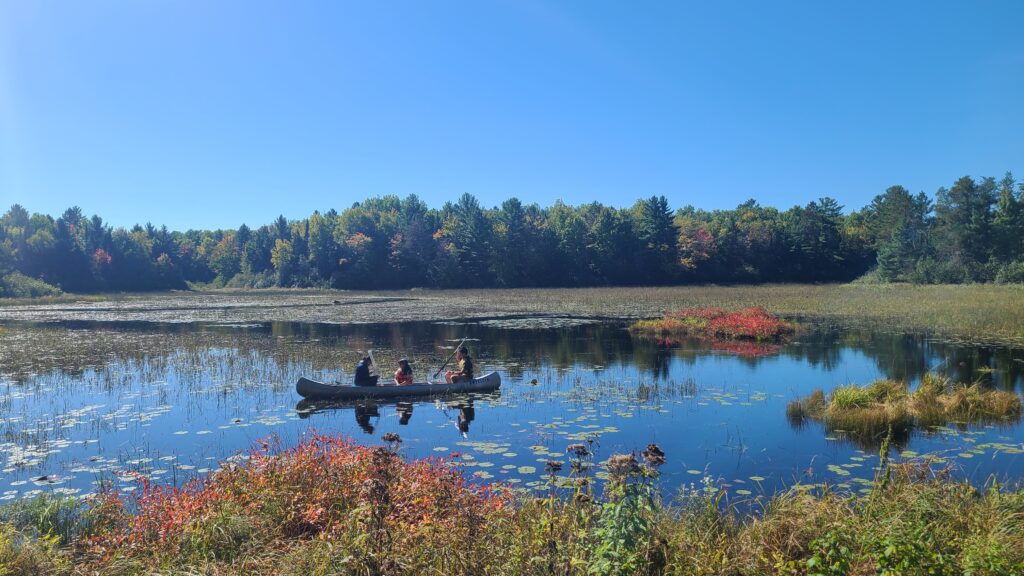 Three people are in a canoe on a small body of water.