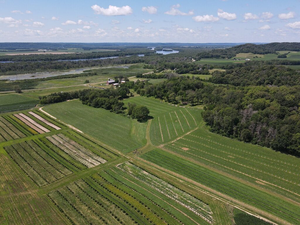 An aerial view of trees planting with crops next to them.