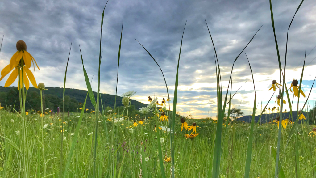 Health of Our Planet Health of Our Planet