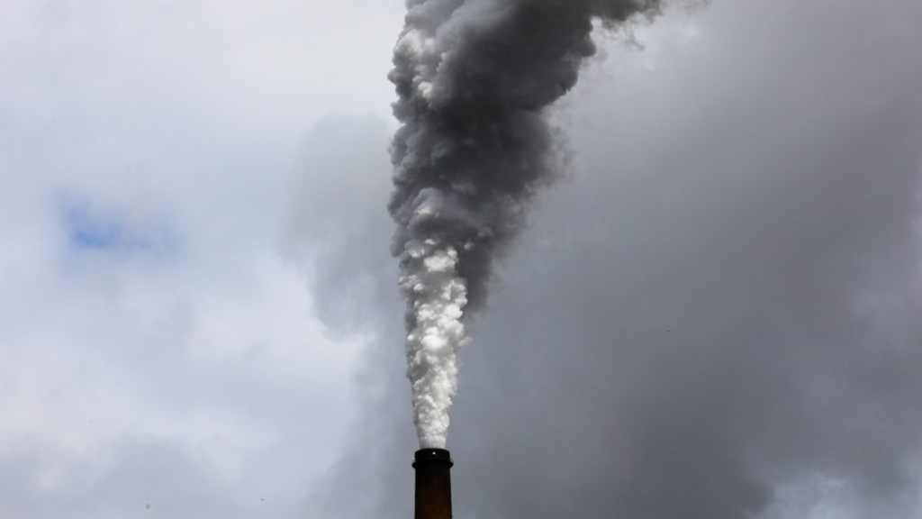 PBS News Hour on Climate