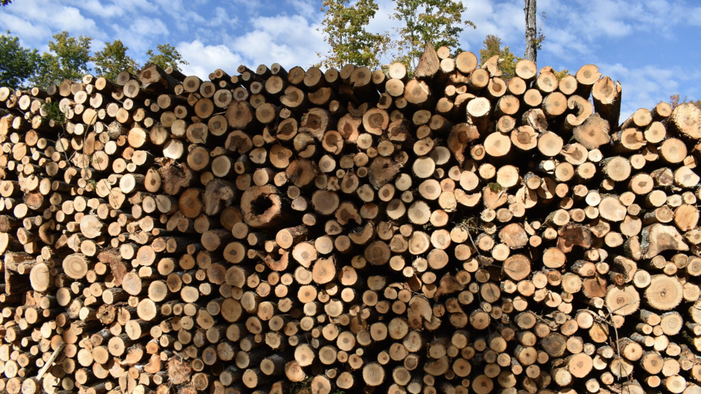 WPR Sustainability Coverage