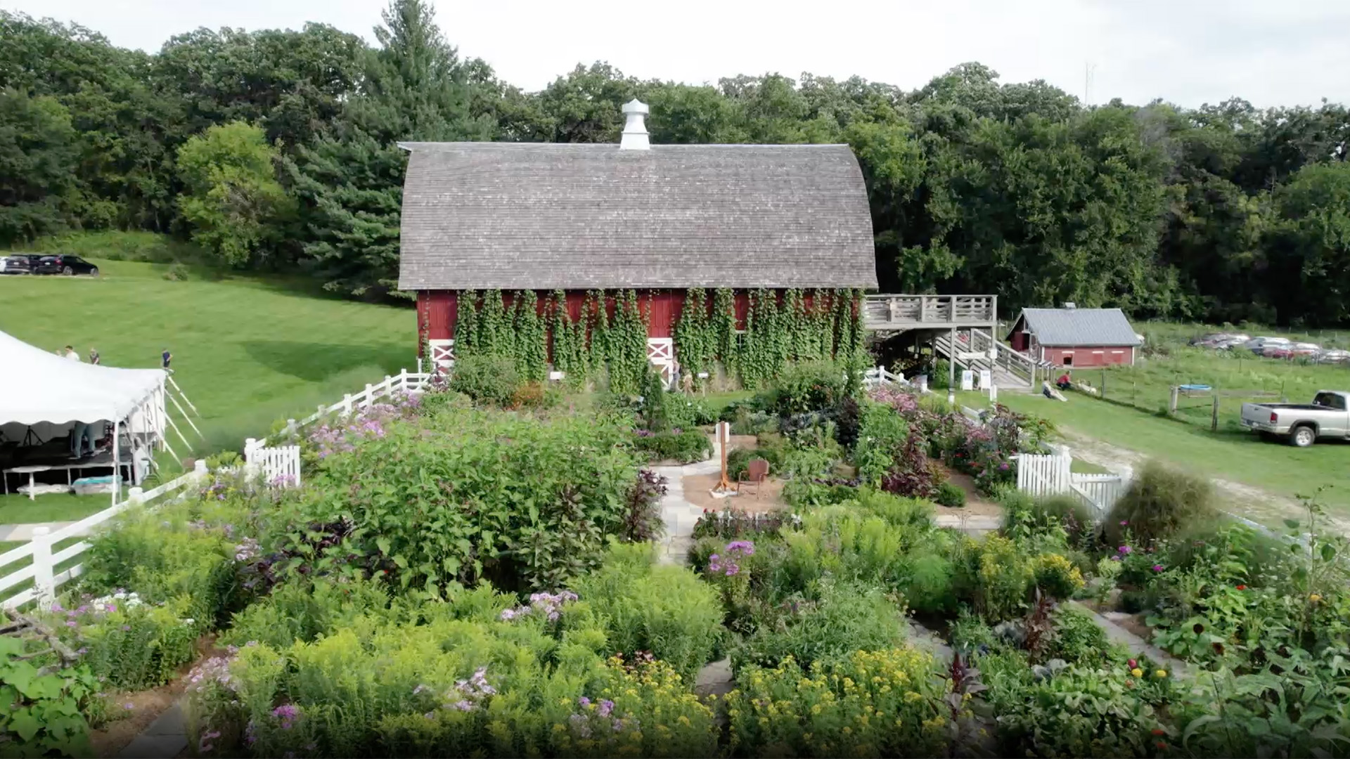 50 Years of Seed Savers