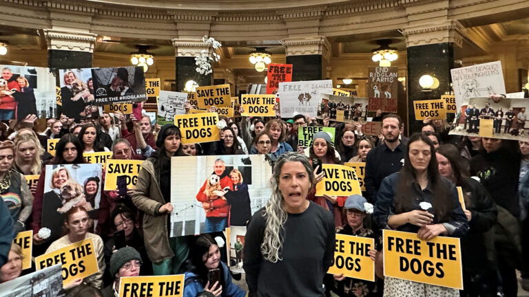 People stand in a group holding printed signs reading Free the Dogs and Save the Dogs as well as hand-drawn signs, in a space with a curved row of square pillars and ceiling-mounted globe light fixtures.
