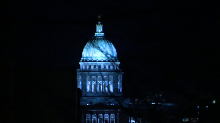 The dome of a Beaux-Arts-style building is illuminated by lighting at night, with out-of-focus leafless branches in the foreground.