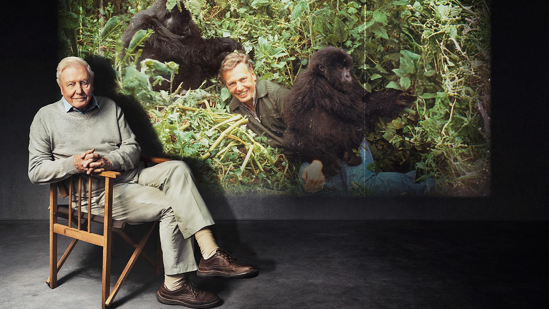 Happy 100th, Sir David Attenborough