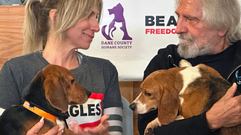 Debbie Gibson and Terry Butler hold beagles in their laps while sitting down and looking at each other, with a banner behind them with a stylized graphic of a dog and cat and the words Dane County Humane Society.