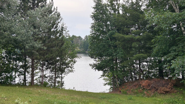 The calm waters of a lake are visible between two stands of trees on its banks, with a grass-covered hillside in the foreground and trees on the far shore in the background.