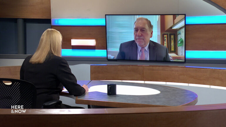 Frederica Freyberg sits at a desk on the Here & Now set and faces a video monitor showing an image of Don Millis. Frederica Freyberg sits at a desk on the Here & Now set and faces a video monitor showing an image of Don Millis.