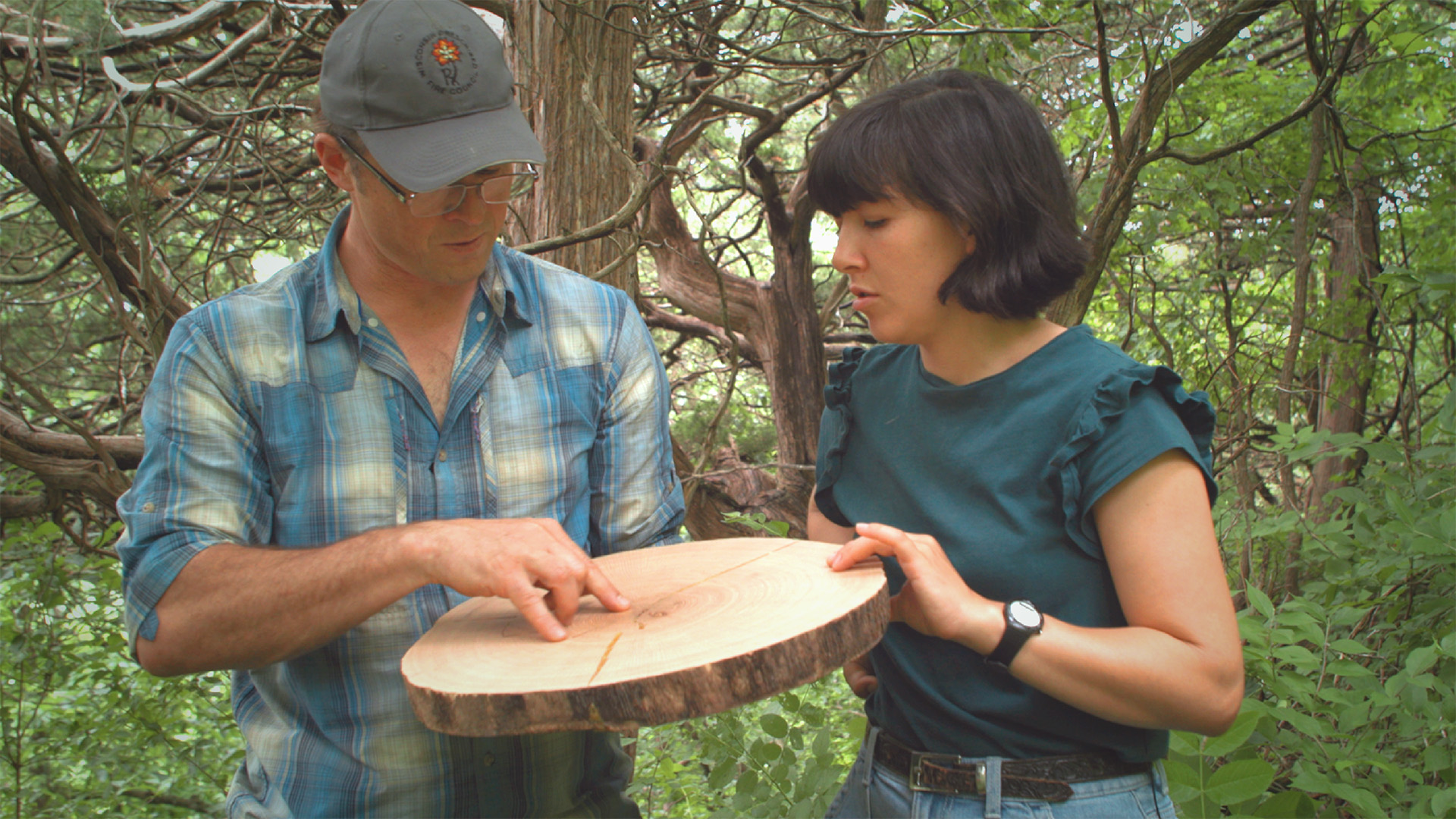 Predicting climate trends using tree rings