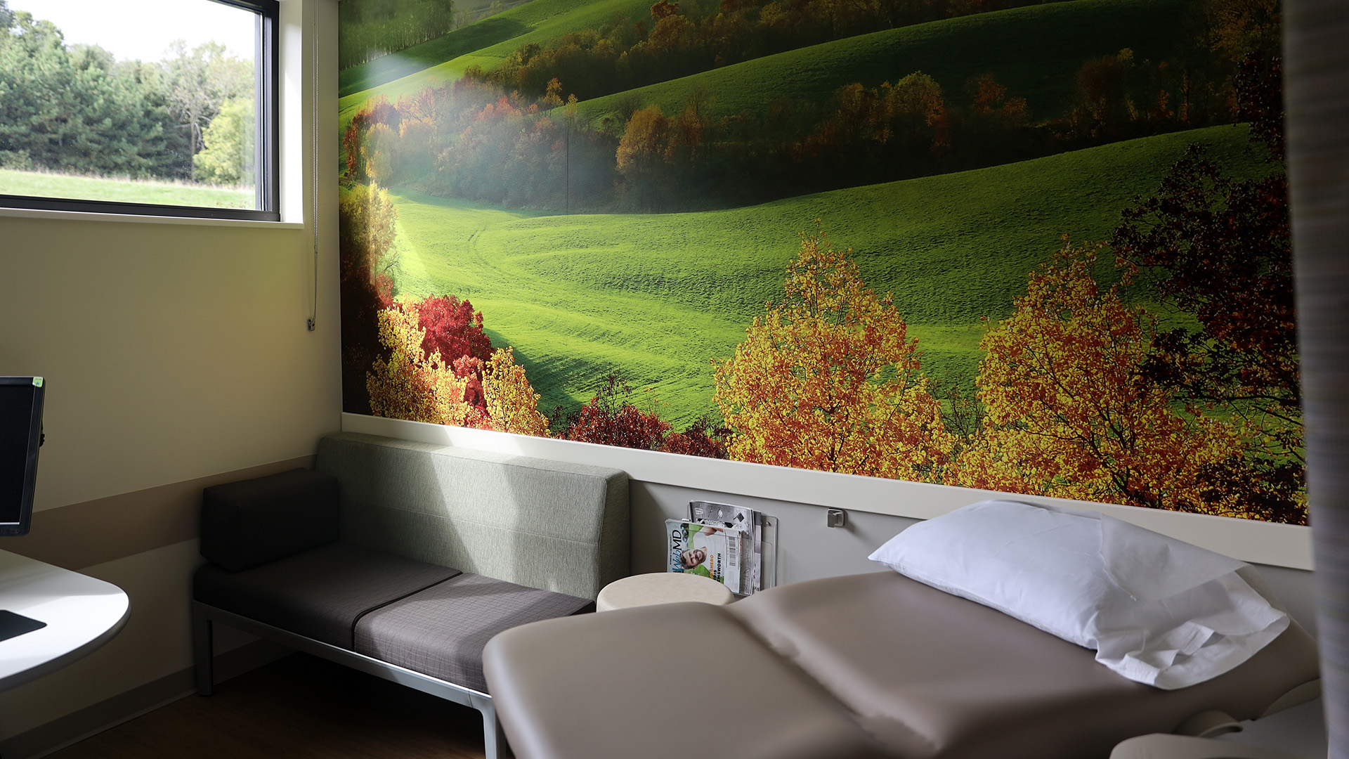 An exam table with a pillow at one end sits next to a round table and a padded bench under a wall-sized photo of rolling hills with trees in a room next to a window showing a lawn and trees at eye level outdoors.