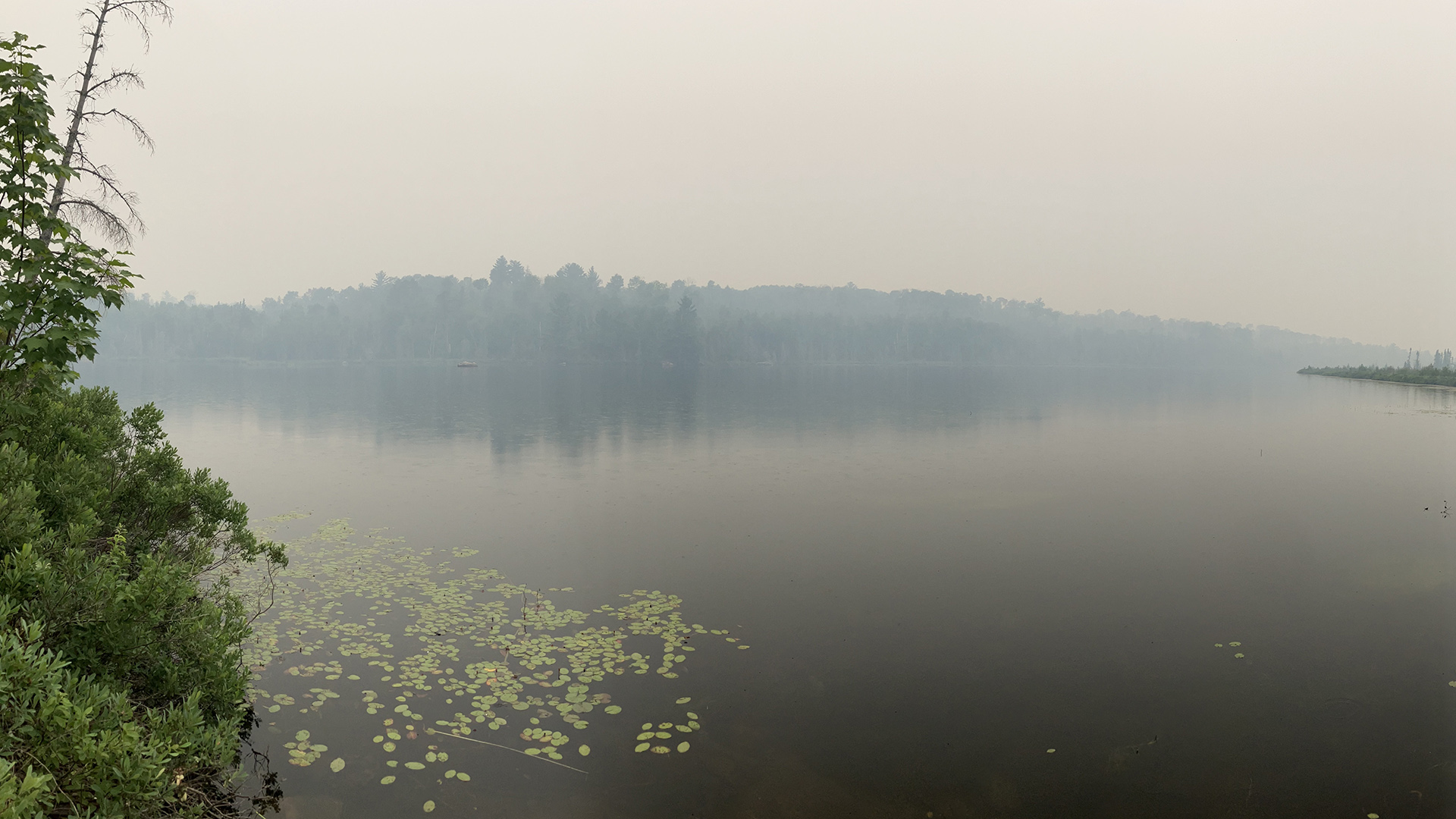 Smoky air obscures trees along the far shore of a body of water, with trees and aquatic plants on the near shore in the foreground.