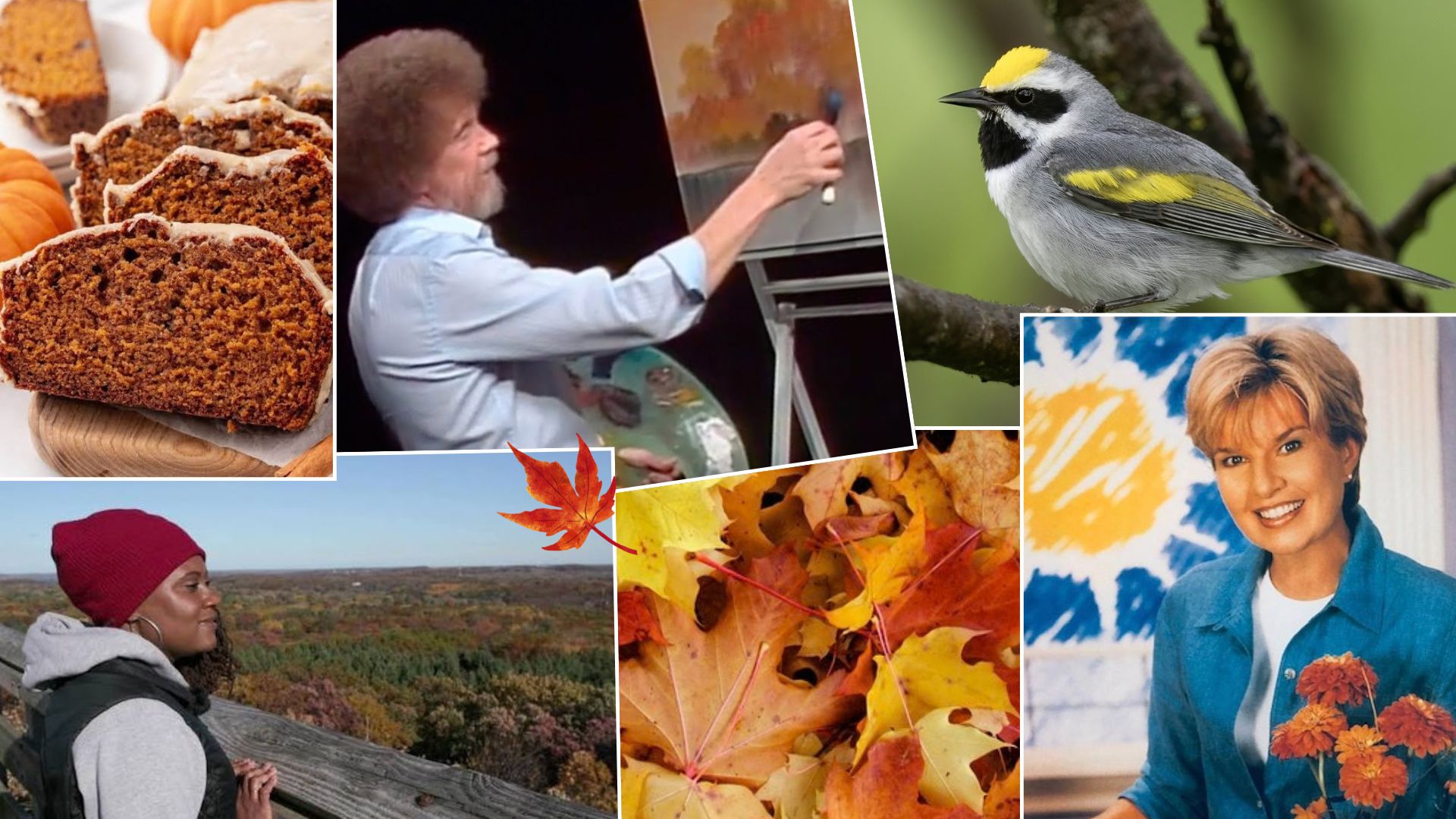 Easing into autumn with PBS