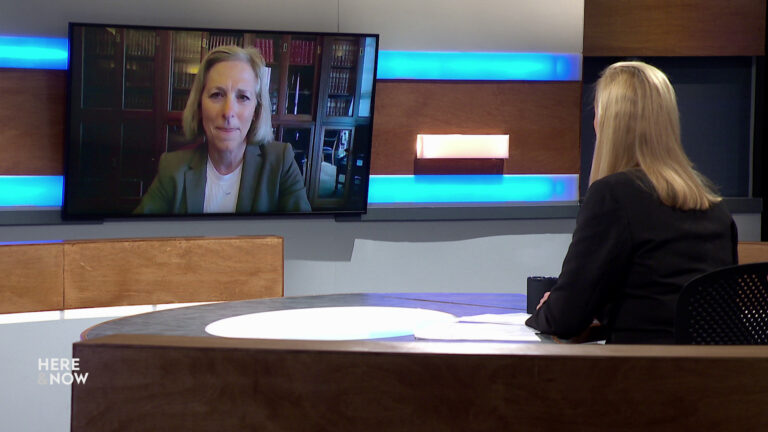 Frederica Freyberg sits at a desk on the Here & Now set and faces a video monitor showing an image of Jill Karofsky. Frederica Freyberg sits at a desk on the Here & Now set and faces a video monitor showing an image of Jill Karofsky.